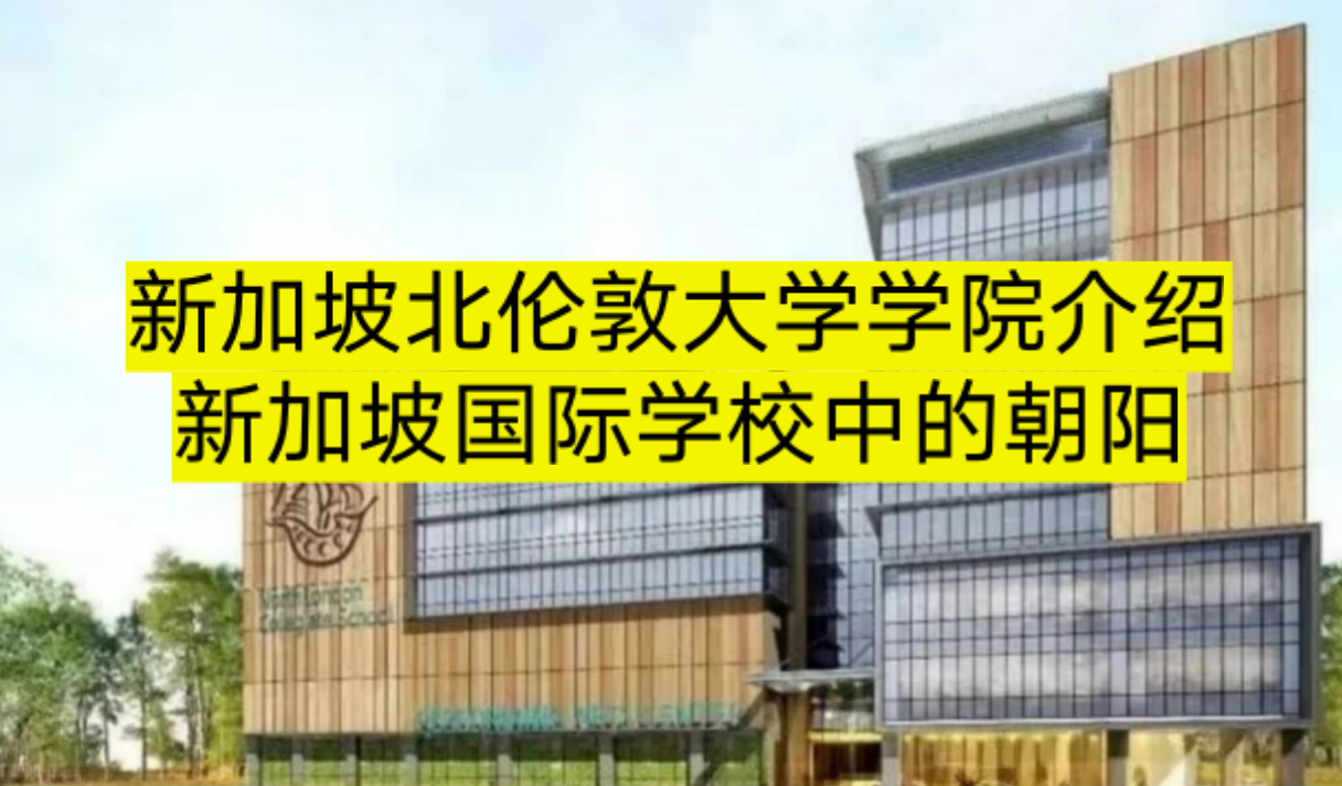 新加坡北伦敦大学学院怎么样？.png