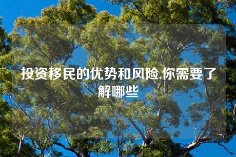 投资移民的优势和风险,你需要了解哪些 投资移民的优势和风险,你需要了解哪些