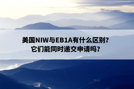 美国NIW与EB1A有什么区别？它们能同时递交申请吗？