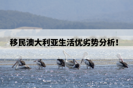 移民澳大利亚生活优劣势分析! 移民澳大利亚生活优劣势分析!