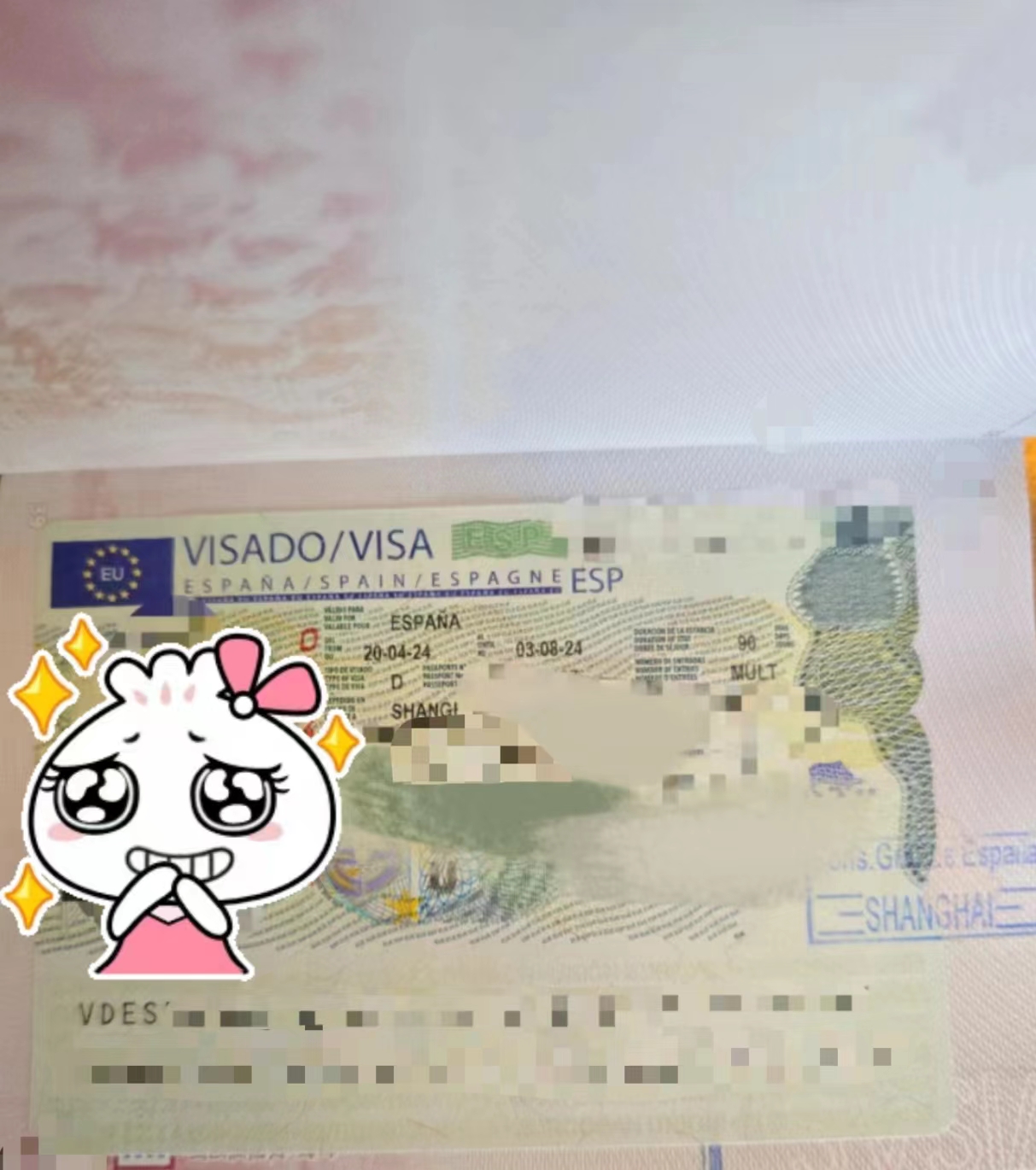 两位退休人员申请，50万存款+退休金，上海领区获批！
