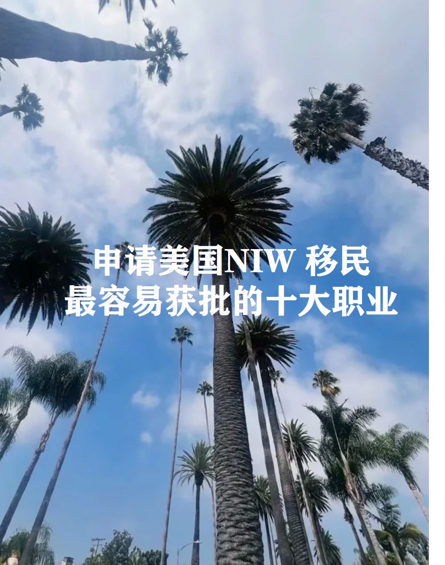 美国1.jpg