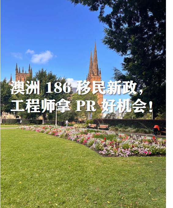 图片1231.jpg