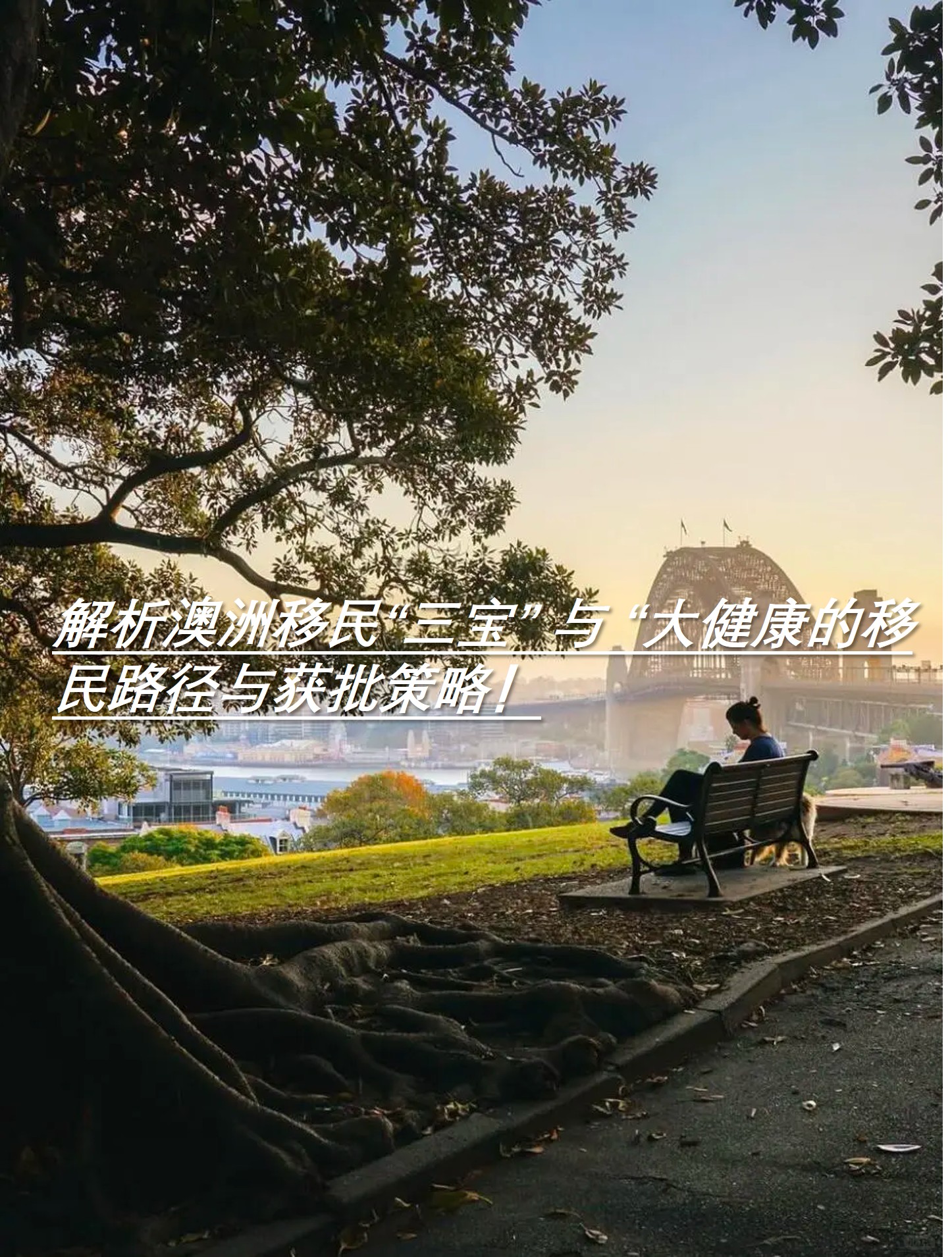 图片4.jpg 图片4.jpg