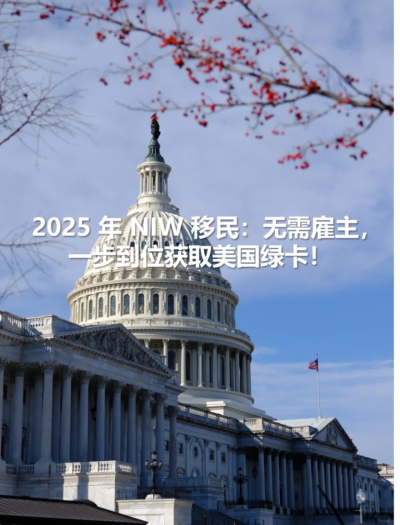 图片9.jpg 图片9.jpg