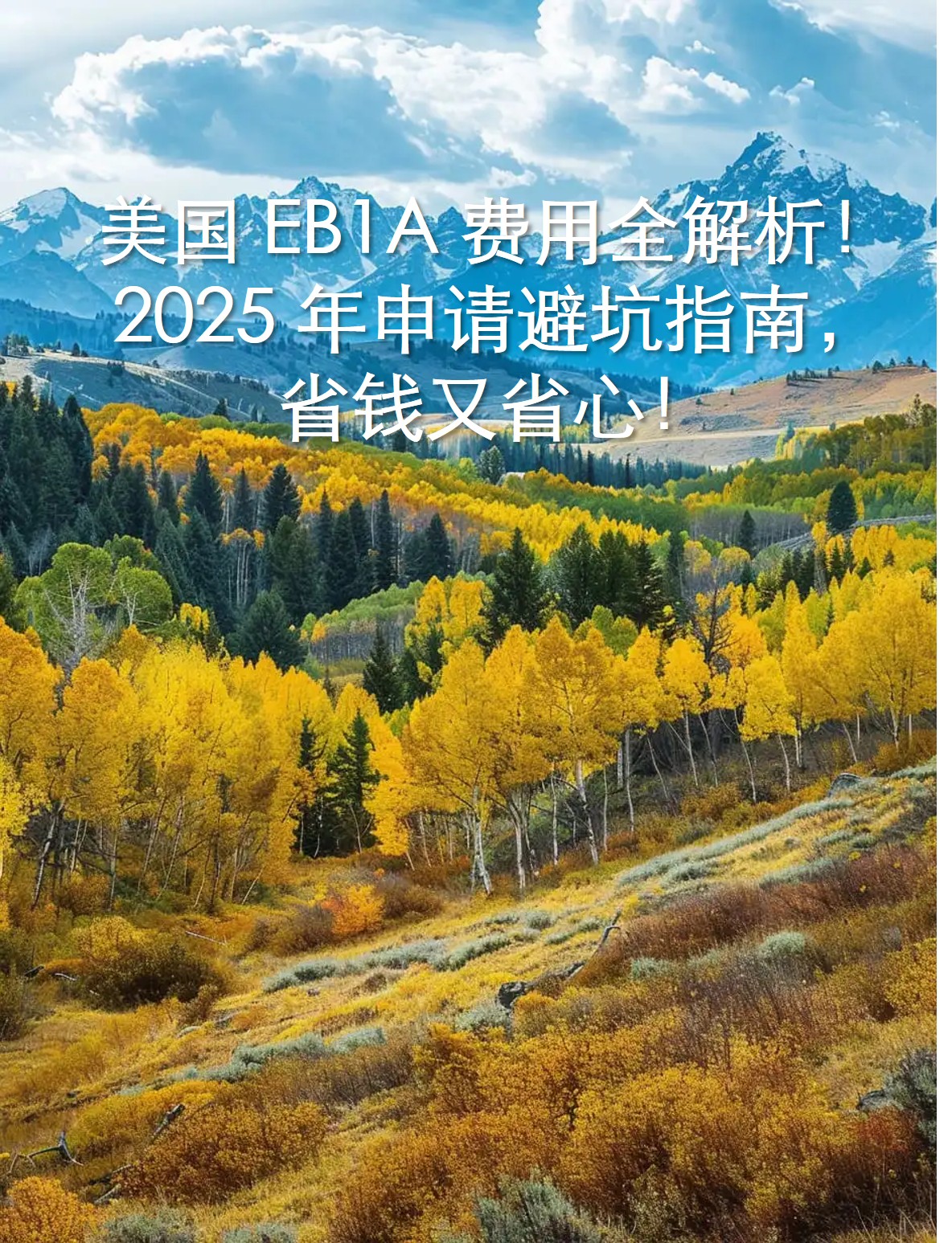 图片8.jpg 图片8.jpg