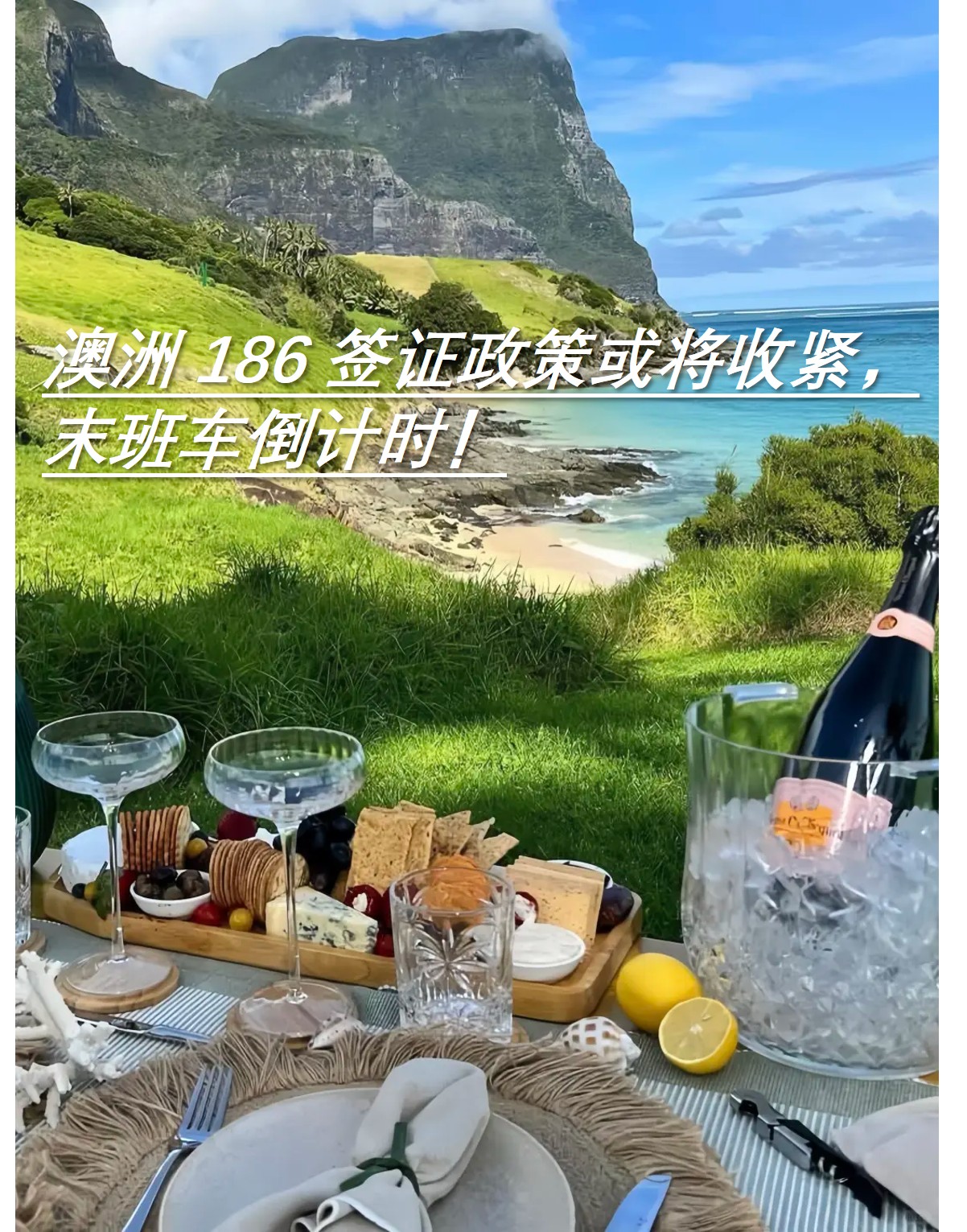 图片7.jpg 图片7.jpg