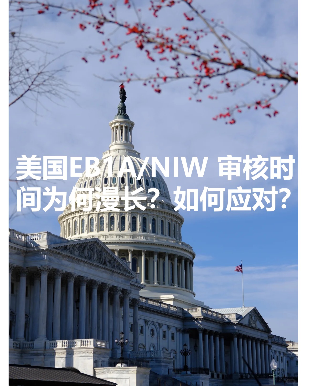 图片5.jpg 图片5.jpg