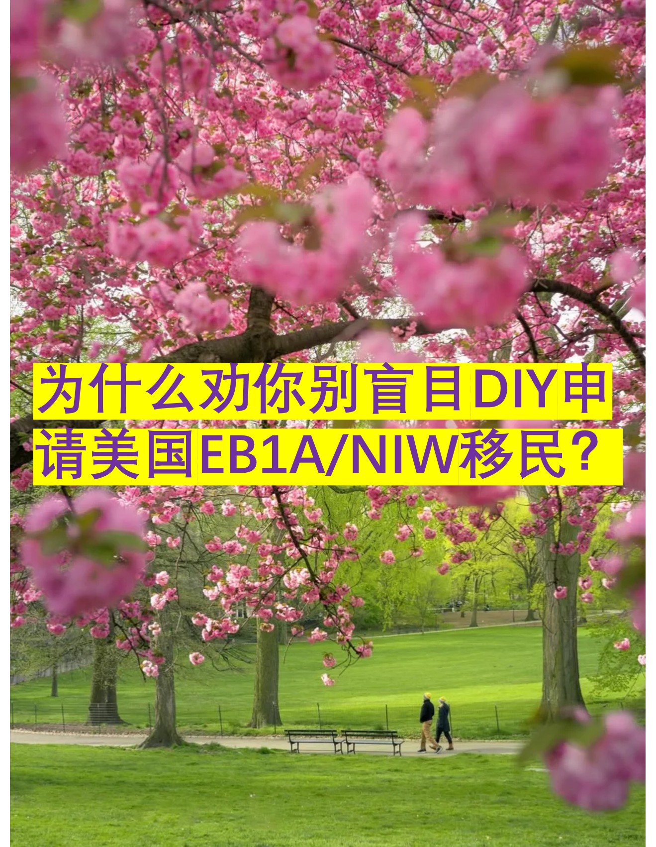 图片9.jpg