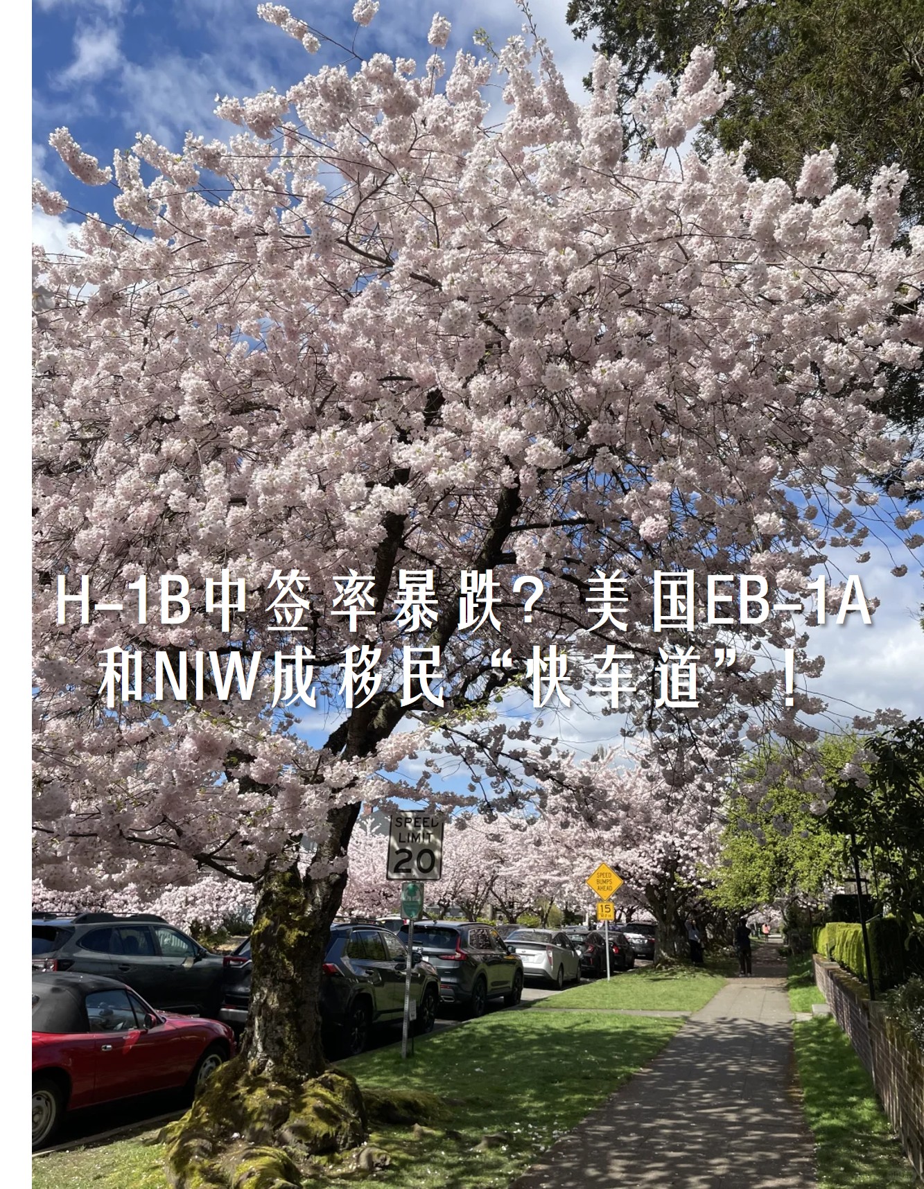 图片1222.jpg