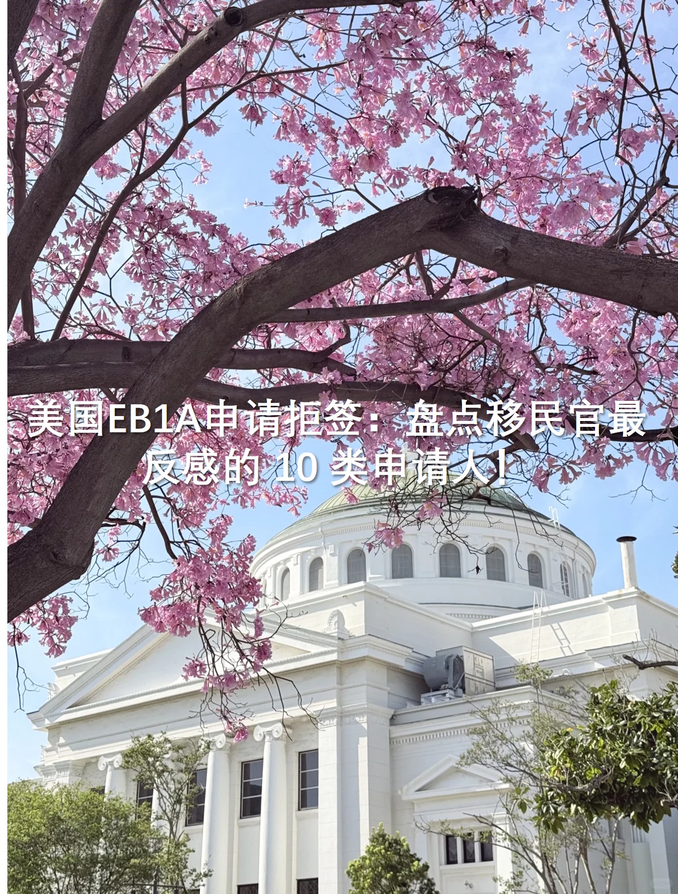 图片856.jpg