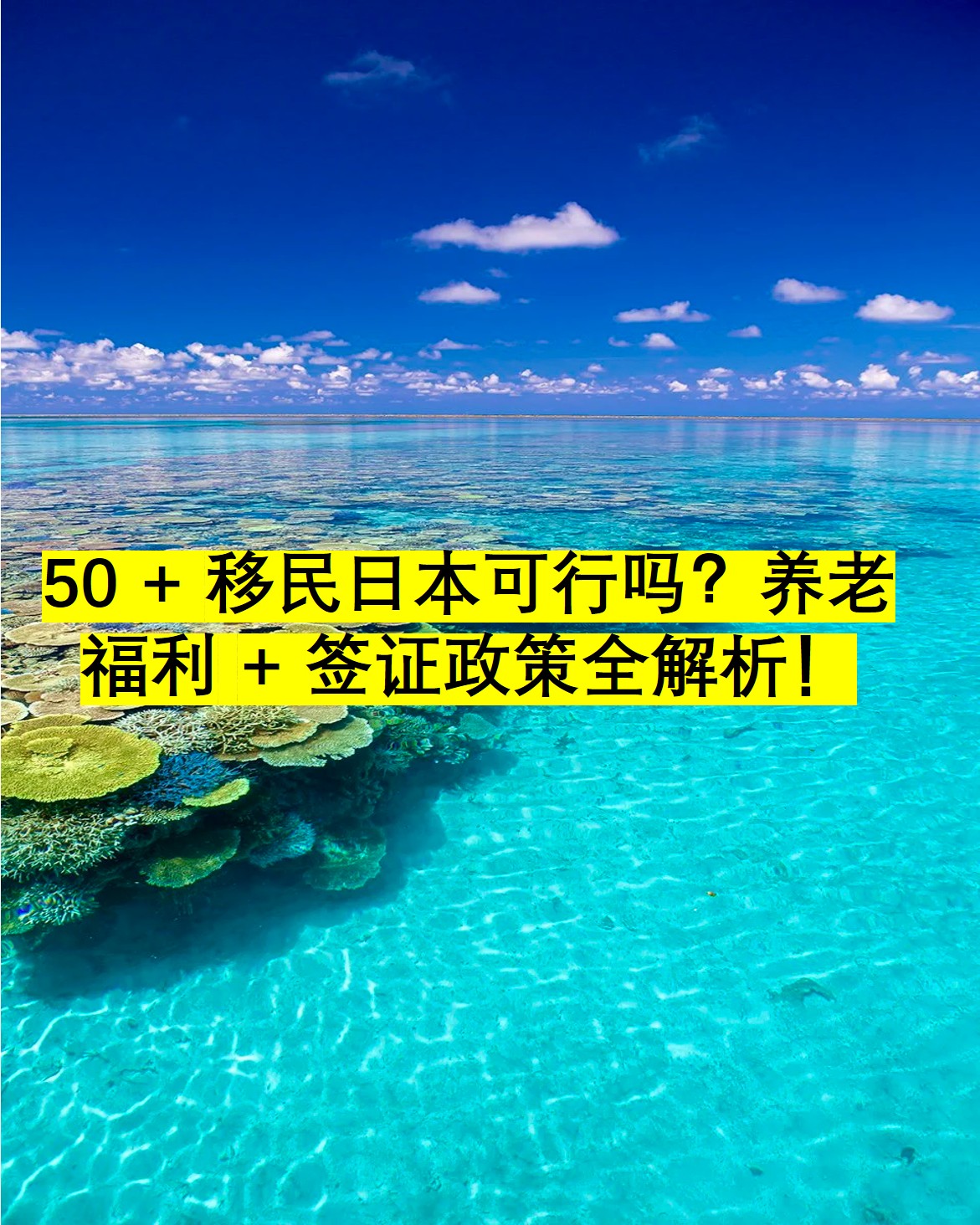 图片8.jpg 图片8.jpg